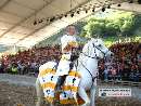 Photo albulle/datas/photos/1_Manifestations/Fetes_medievales_2007_Saillon/Camp_principal/Spectacle_equestre/fetes_medievales_07_spectacle_equestre-0061.jpg