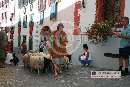 Photo albulle/datas/photos/1_Manifestations/Fetes_medievales_2007_Saillon/Cortege/Cortege_au_Bourg/fetes_medievales_cortege_bourg_0141.jpg