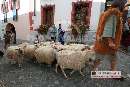 Photo albulle/datas/photos/1_Manifestations/Fetes_medievales_2007_Saillon/Cortege/Cortege_au_Bourg/fetes_medievales_cortege_bourg_0142.jpg