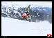 Photo albulle/datas/photos/1_Manifestations/Snowcross_Anzere/09_Elite_2/snowcross_anzere-637-.jpg