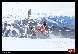 Photo albulle/datas/photos/1_Manifestations/Snowcross_Anzere/09_Elite_2/snowcross_anzere-665-.jpg