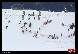 Photo albulle/datas/photos/1_Manifestations/Snowcross_Anzere/10_Dames-Veterans_3/snowcross_anzere-754-.jpg